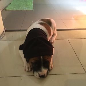 Meet your Posher, Lynn